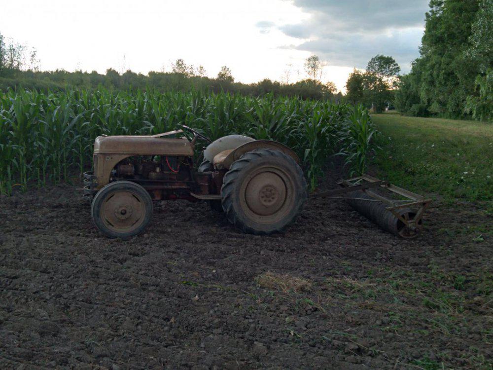 20201227_173216.jpg