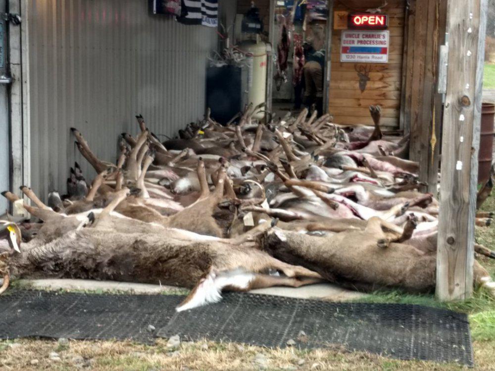 Deer processor Deer Hunting Hunting New York NY Empire State