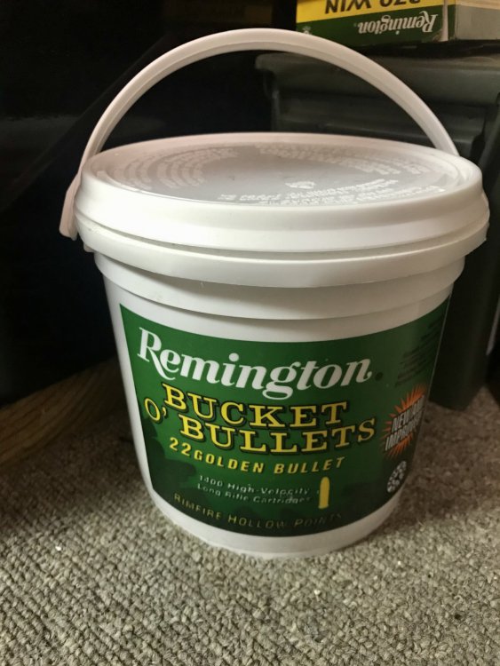 56F85417-761D-42B1-8C36-6AE5F533B0EB.jpeg
