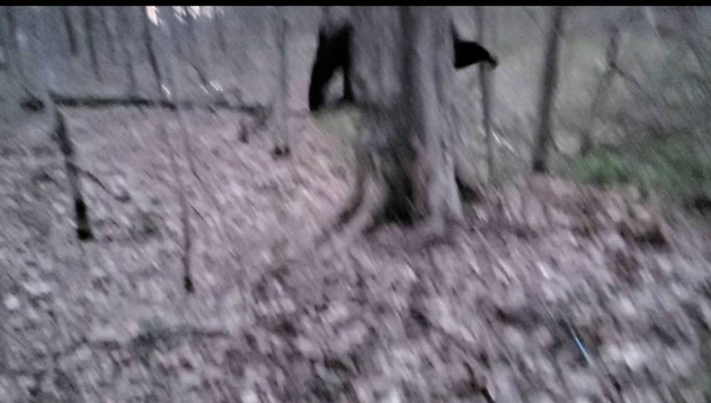 Screenshot_20210502-060818_Gallery.thumb.jpg.326c79cd72ab6702414401db952432ef.jpg