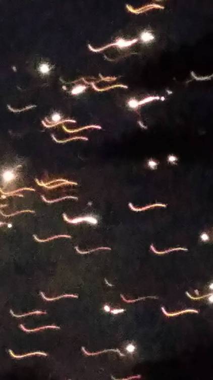 20210704_102049.jpg