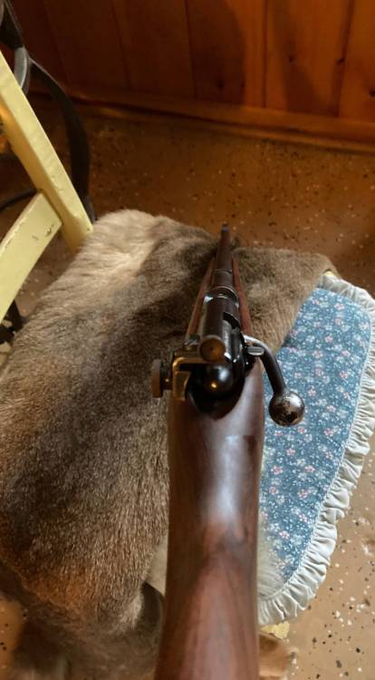 1500004990_Marlin81.thumb.jpg.2ff8aeb2e1d142663ecd726c811db94a.jpg