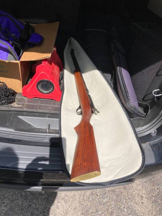 Marlin81DL.thumb.jpg.154fb2d12b7ad9897f40b448c7683b6c.jpg