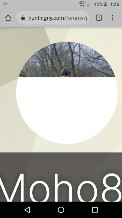 Screenshot_20210813-132624.png
