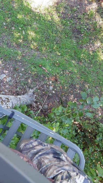 IMG-20210928-WA0016.jpeg