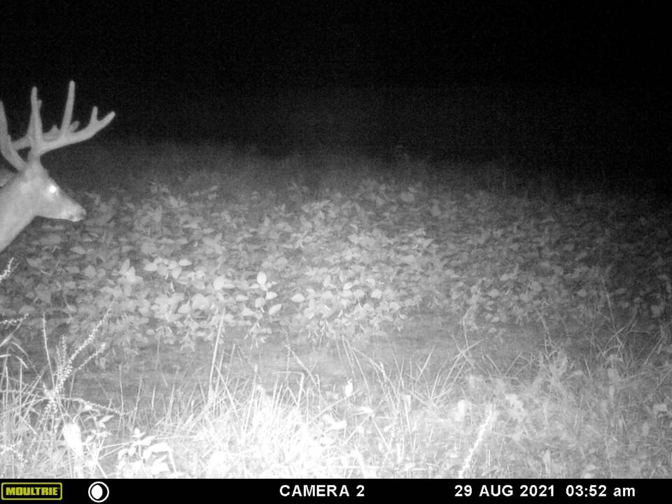 Potential New World Record From Kentucky Deer Hunting Hunting New   IMG950890(1) .d075ecb5ca527580ece688bde57480a3 