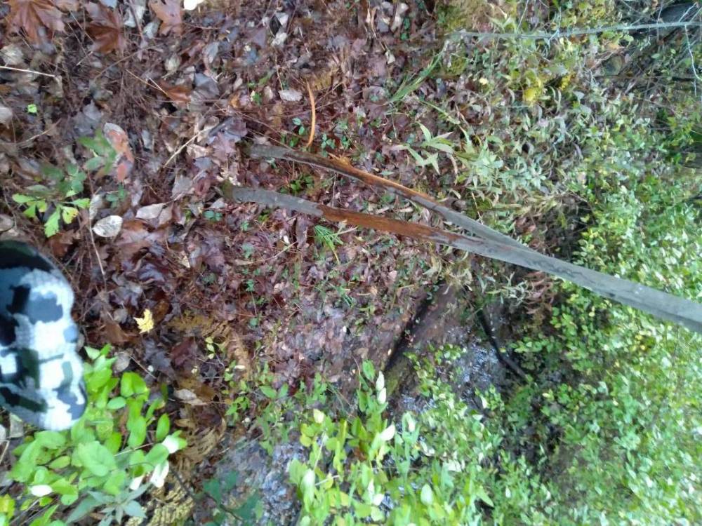 20211027_075531.jpg