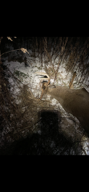 31C06569-EF2C-4E62-8A44-A61012A45715.png