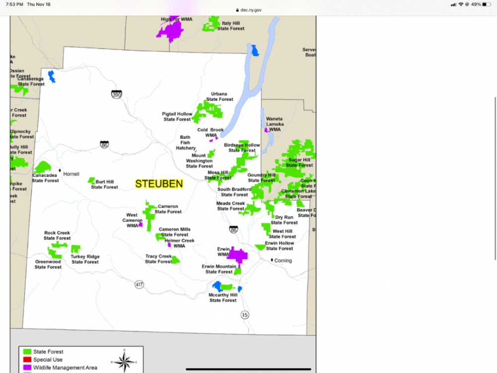 Public opportunities in Steuben county Deer Hunting Hunting New