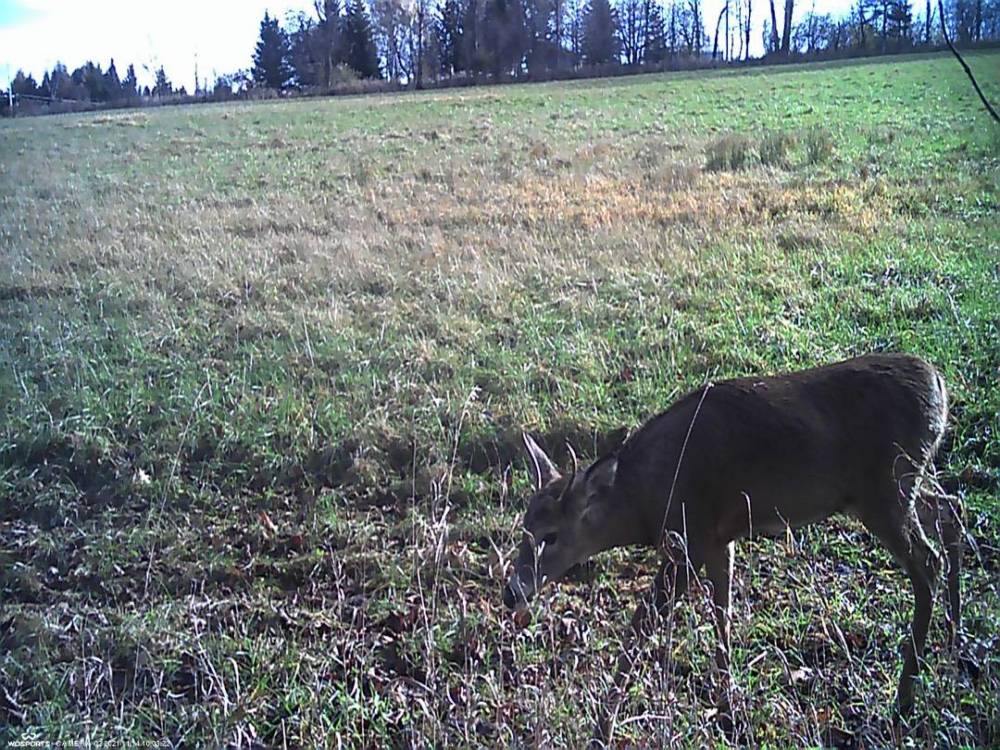 EFDC6DBF-180E-462E-8277-AC803DAF95DE.jpeg