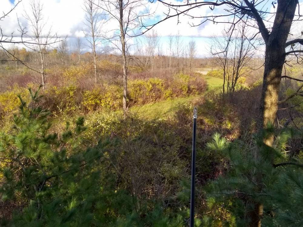 IMG_20211103_160548365_HDR.jpg