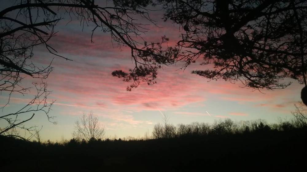 20201110_165120.thumb.jpg.54d93e45be028dc4747c8936e7d184c7.jpg
