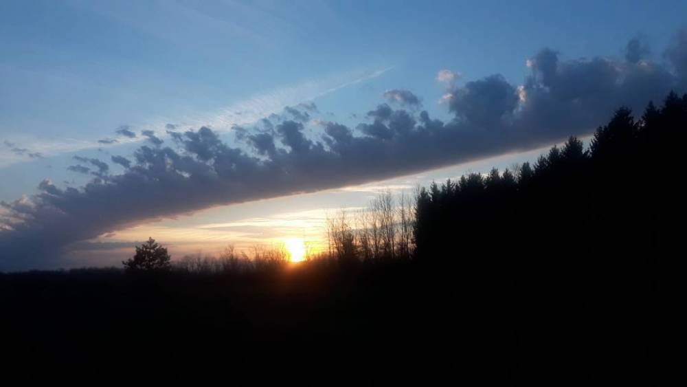 20201120_073112.jpg