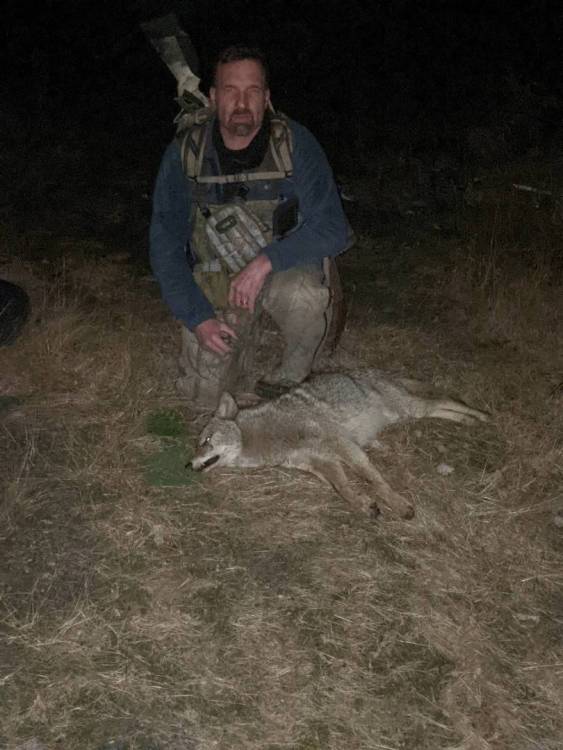 29965837_coyote325.thumb.jpg.34928b638c32e17c77d9cf8825016eba.jpg