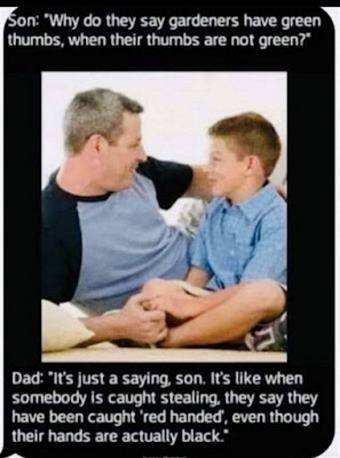 21q-2i4h16_t3.jpg.055b57519e90e7de2f1a181ec9e955c5.jpg