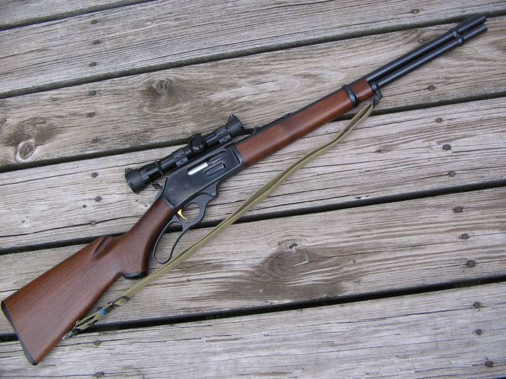 My336.JPG