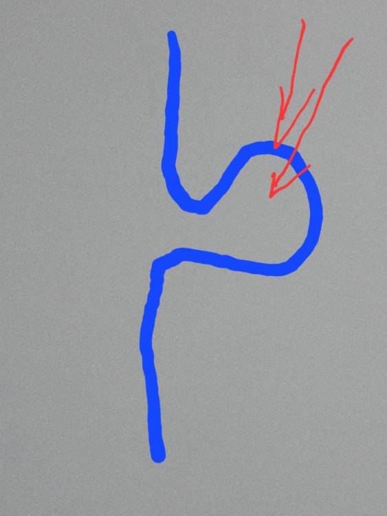 20220710_141130.thumb.jpg.854c95dd973b801f91466b026b6aa63e.jpg