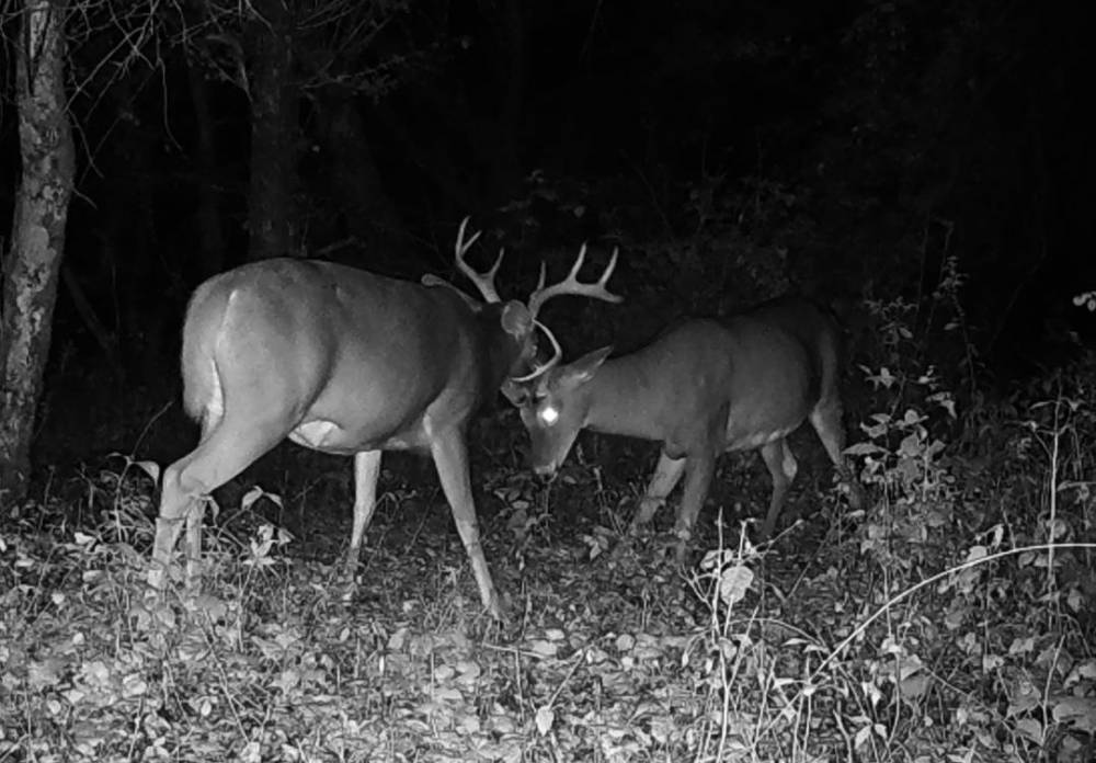 IMG_0080.thumb.JPG.0babc595cb0c6ad7a2ebc3fe658ef5a5.JPG
