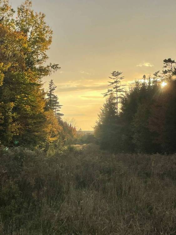 Sunset.jpg