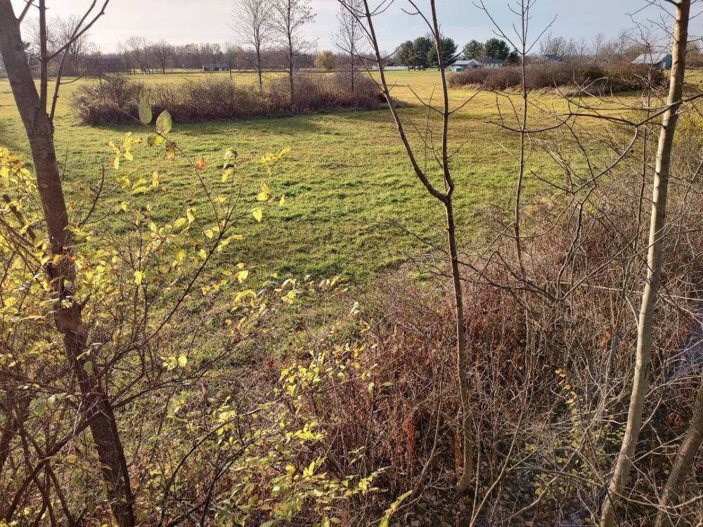 IMG_20221105_162425980_HDR.jpg