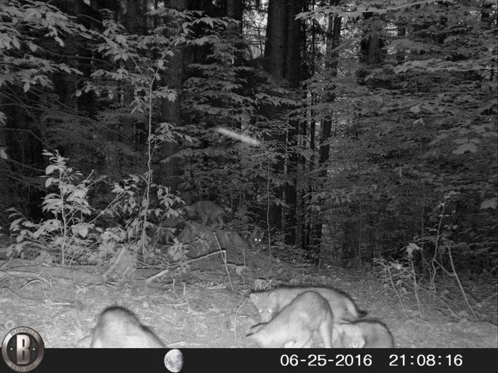 HUNT0145.JPG