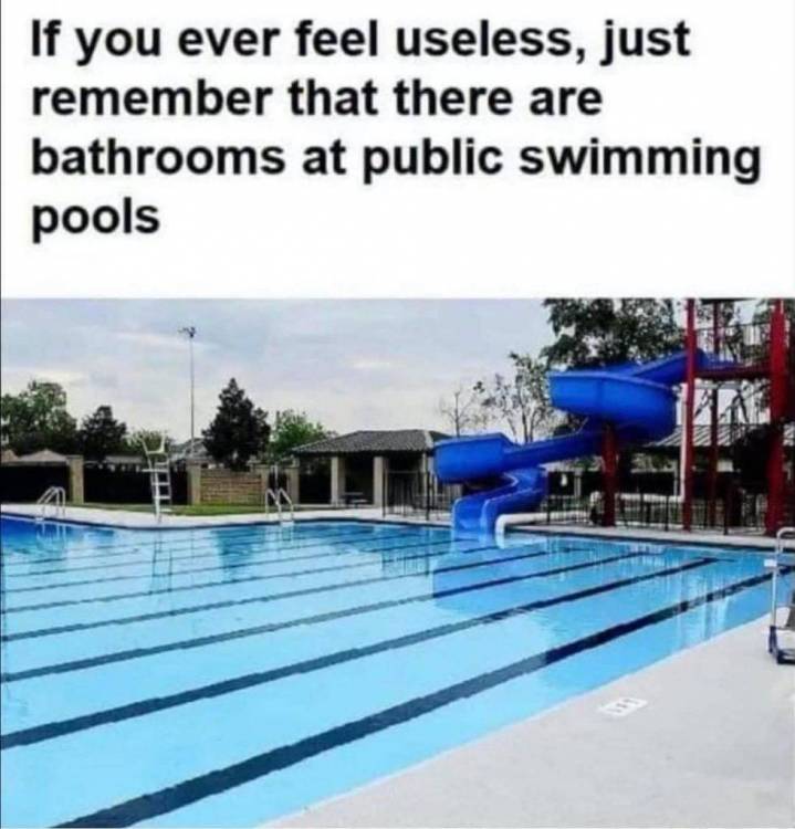 29487.jpeg