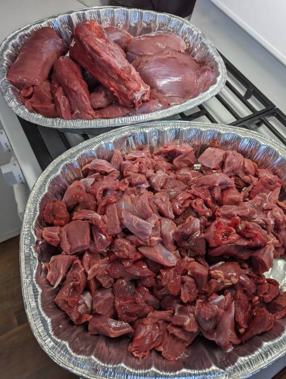 Meat 23-1.jpg