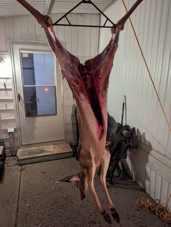 meat 23-1 001.jpg
