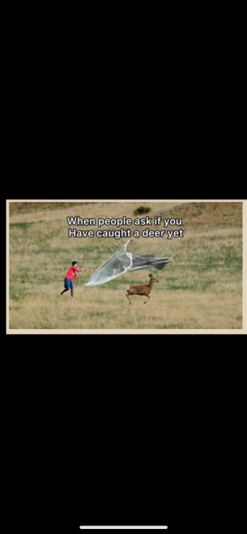 IMG_4897.thumb.png.1957536787f3b6ef1132cacbf7c5d3ba.png