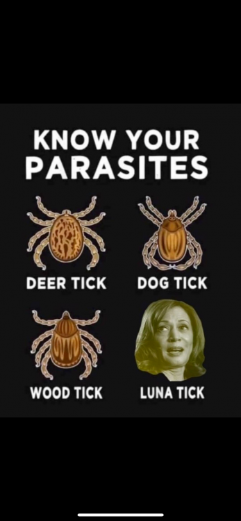 IMG_9459.thumb.PNG.f50625f314267ed21280c73da906246b.PNG