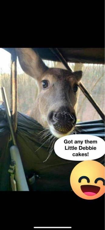 Little Debbie.jpg