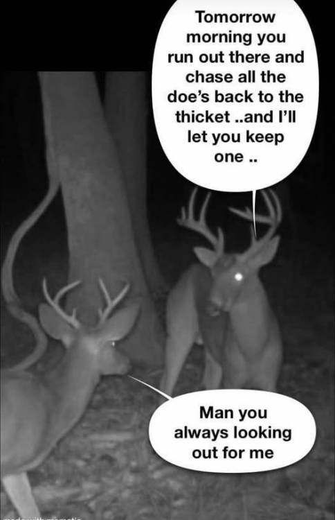 doe sharing.jpg