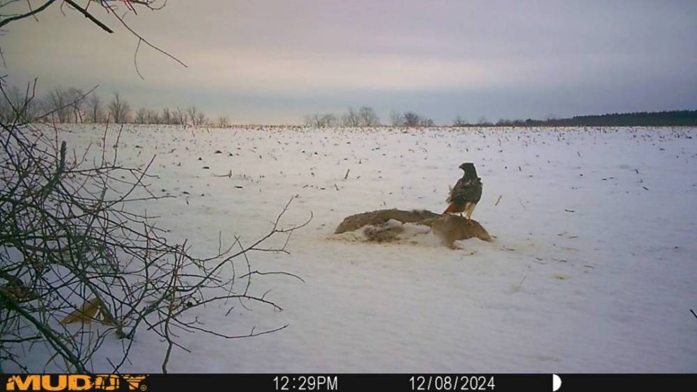 MUD_1011.JPG