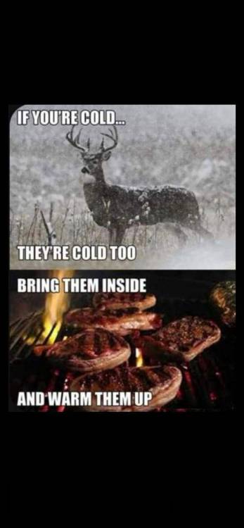 cold.jpg