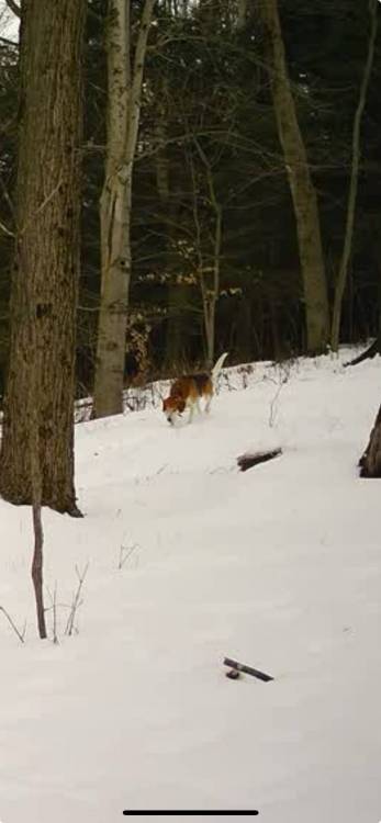 IMG_7186.jpeg