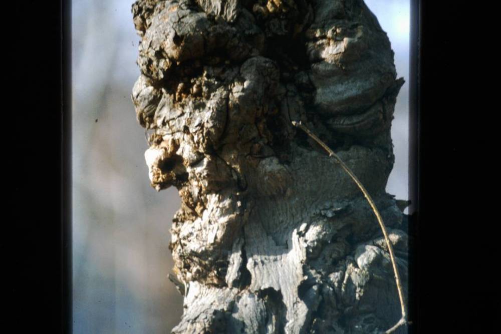 PICT0077.JPG