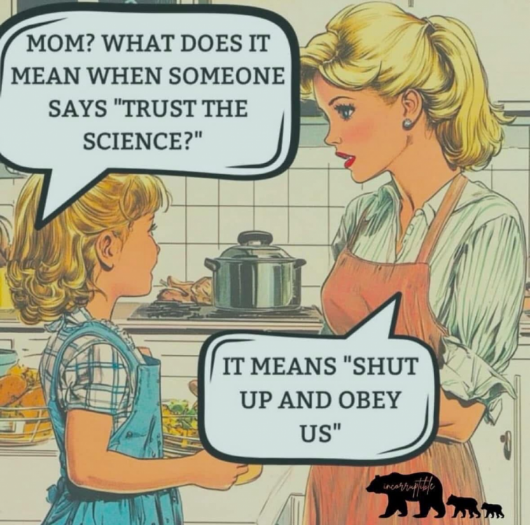 1744041741874.png