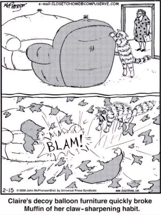 1746562430716.png