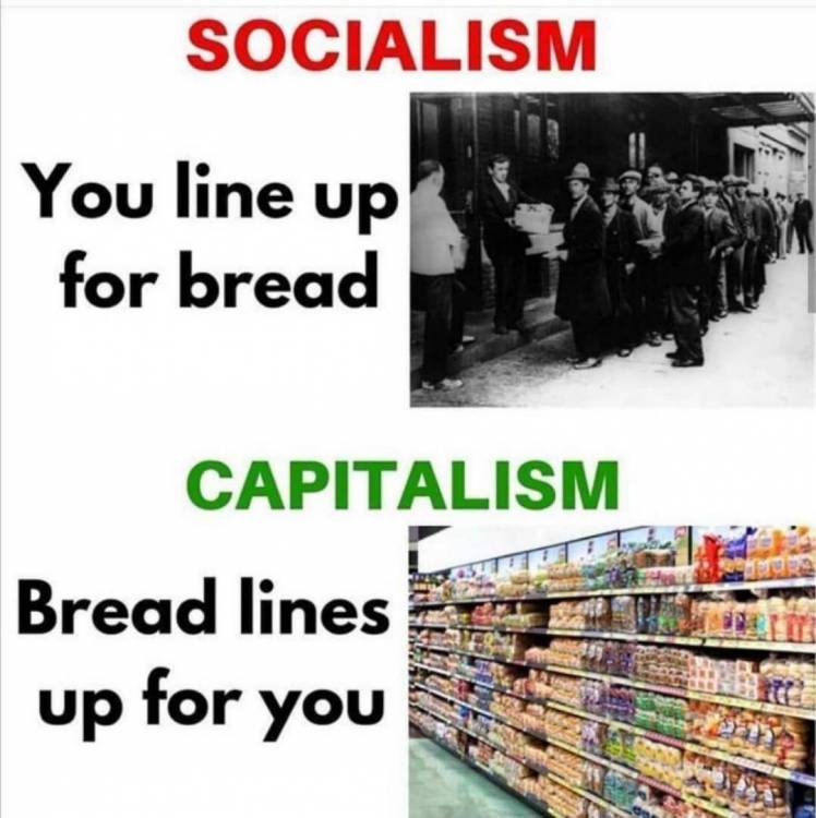 pol2.jpg