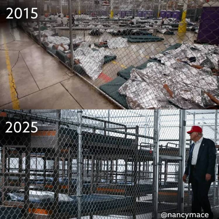 pol3.jpg